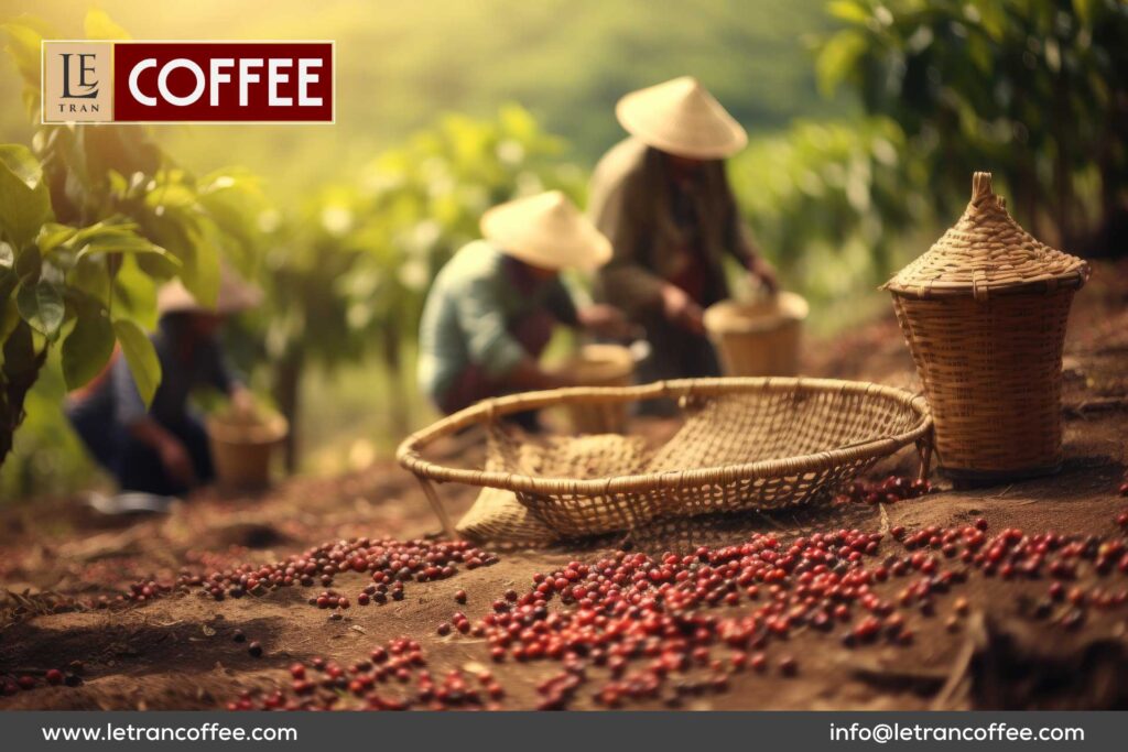 Welcome to the exotic world of Vietnamese coffee, where the rich soil of the Central Highlands and the meticulous craftsmanship of local farmers come together to create a cup of coffee that transcends borders.